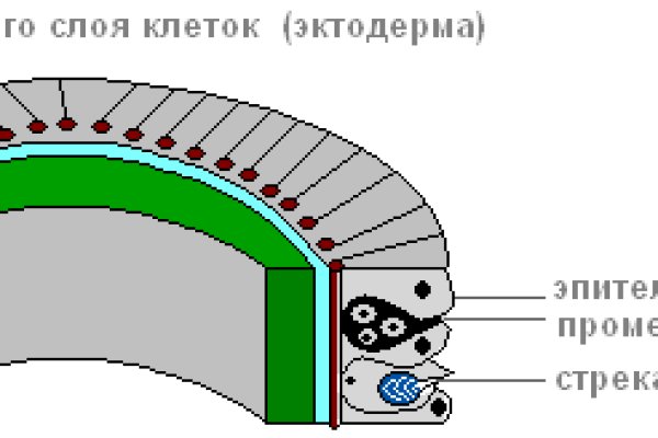 Не могу зайти на кракен