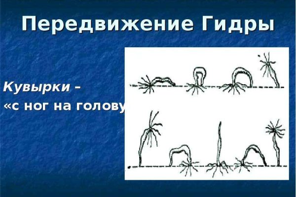 Кракен shop